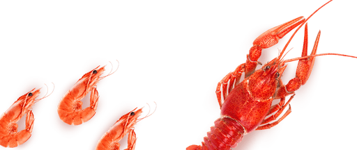 Морепродукты