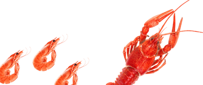 Морепродукты